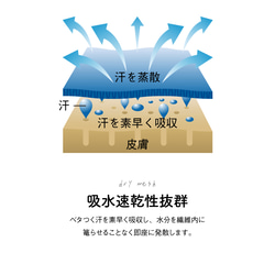 ［着る山菜］山菜図鑑Tシャツ（インディゴ） 13枚目の画像