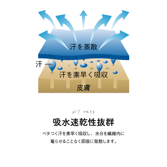 ［着る山菜］山菜図鑑Tシャツ（インディゴ） 13枚目の画像