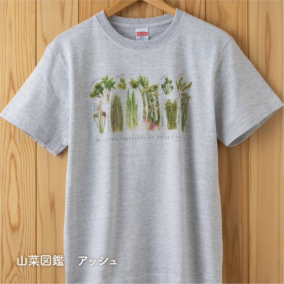［着る山菜］山菜図鑑Tシャツ（アッシュ） 1枚目の画像
