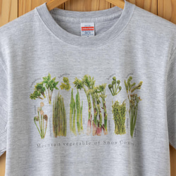 ［着る山菜］山菜図鑑Tシャツ（アッシュ） 2枚目の画像