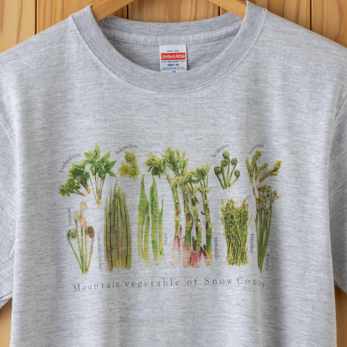 着る山菜］山菜図鑑Tシャツ（アッシュ） Tシャツ 着る山菜 通販