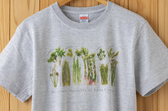 ［着る山菜］山菜図鑑Tシャツ（アッシュ） 2枚目の画像