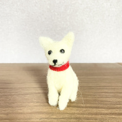 白い犬　羊毛フェルト 1枚目の画像