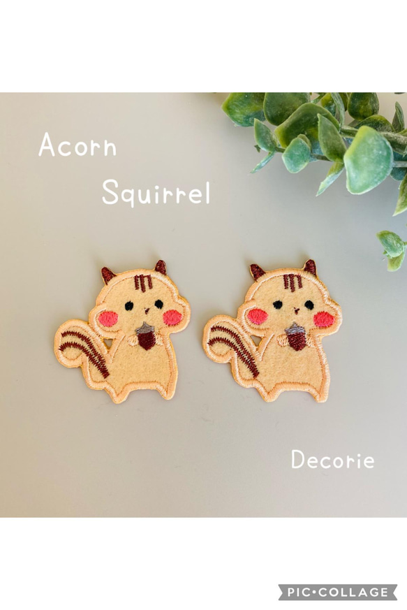 どんぐり りす 2枚セット｜アイロン接着 その他入園グッズ デコリエ