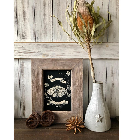 「バンクシア プリオノテス」1本 そのまま飾れる高品質ドライフラワー 花材　ネイティブフラワー インテリアやスワッグ　撮 4枚目の画像