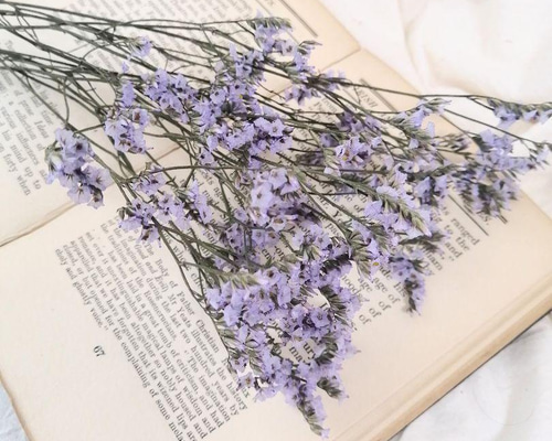 ラベンダーフラワー出品 dc1a956cc470d17abeccc8543a1f69