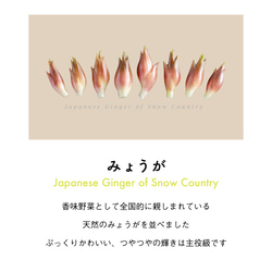 ［着る山菜］みょうがTシャツ（サンドベージュ） 10枚目の画像