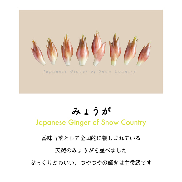 ［着る山菜］みょうがTシャツ（サンドベージュ） 10枚目の画像