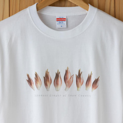 ［着る山菜］みょうがTシャツ（ホワイト） 2枚目の画像