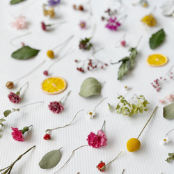 フラワーカーテン手づくりキット✳︎20mワイヤー✳︎✳︎ドライ