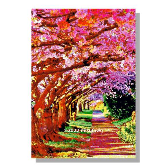 【選べる3枚組ポストカード】桜の回廊【作品No.317】 1枚目の画像