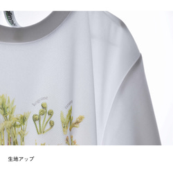 ［着る山菜］山菜図鑑Tシャツ（ホワイト） 11枚目の画像