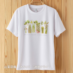［着る山菜］山菜図鑑Tシャツ（ホワイト） 8枚目の画像