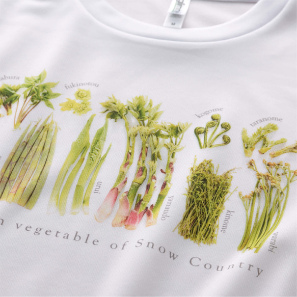 ［着る山菜］山菜図鑑Tシャツ（ホワイト） 9枚目の画像