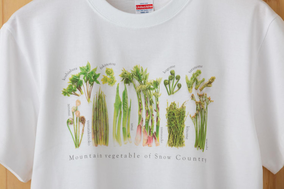［着る山菜］山菜図鑑Tシャツ（ホワイト） 3枚目の画像