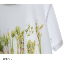 ［着る山菜］山菜図鑑Tシャツ（ホワイト） 12枚目の画像