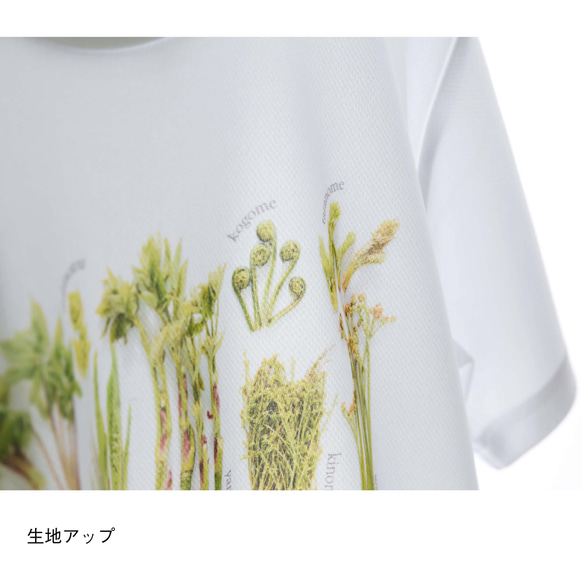 ［着る山菜］山菜図鑑Tシャツ（ホワイト） 11枚目の画像