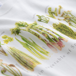 ［着る山菜］山菜図鑑Tシャツ（ホワイト） 3枚目の画像