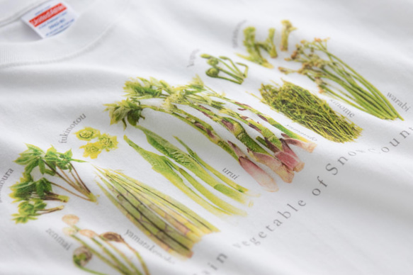 ［着る山菜］山菜図鑑Tシャツ（ホワイト） 3枚目の画像
