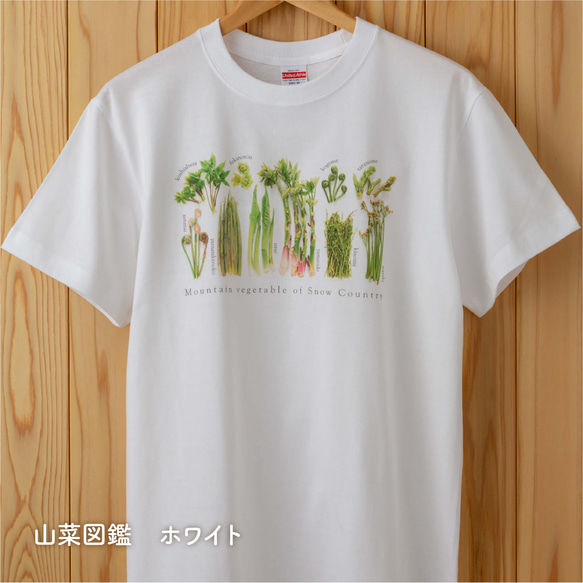 ［着る山菜］山菜図鑑Tシャツ（ホワイト） 1枚目の画像
