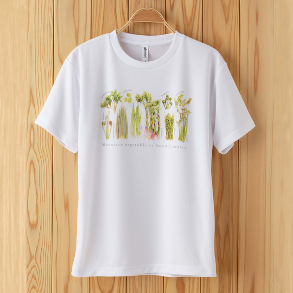 ［着る山菜］山菜図鑑Tシャツ（ホワイト） 8枚目の画像