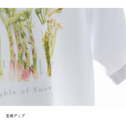 ［着る山菜］山菜図鑑Tシャツ（ホワイト） 12枚目の画像
