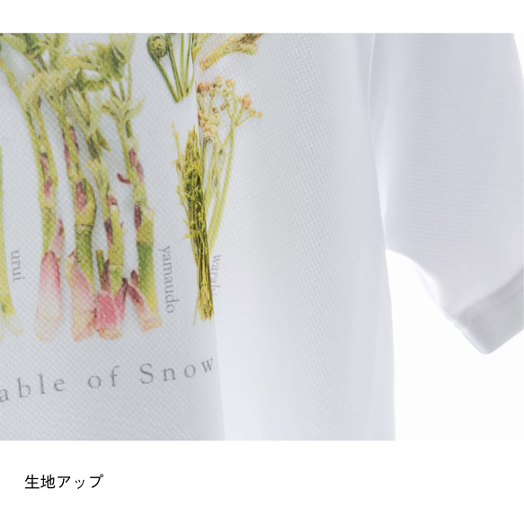 ［着る山菜］山菜図鑑Tシャツ（ホワイト） 12枚目の画像