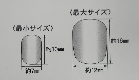  第2張的照片