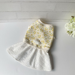 犬服【3S～M】ミモザと刺繍レースのワンピース ペット服・アクセサリー