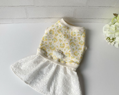 犬服【3S～M】ミモザと刺繍レースのワンピース ペット服・アクセサリー