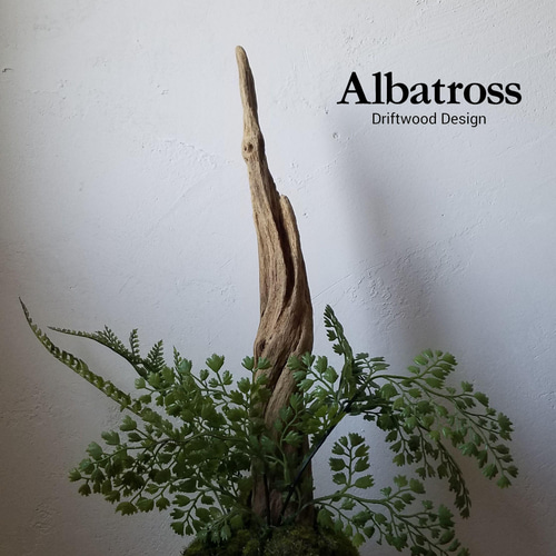 流木 高さ約39cm 流木盆栽 苔 苔玉 和 シダ フェイクグリーン