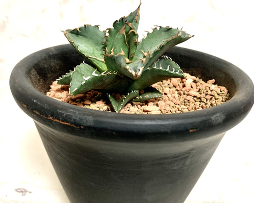 349b547f30a60217268ce2297c45e2