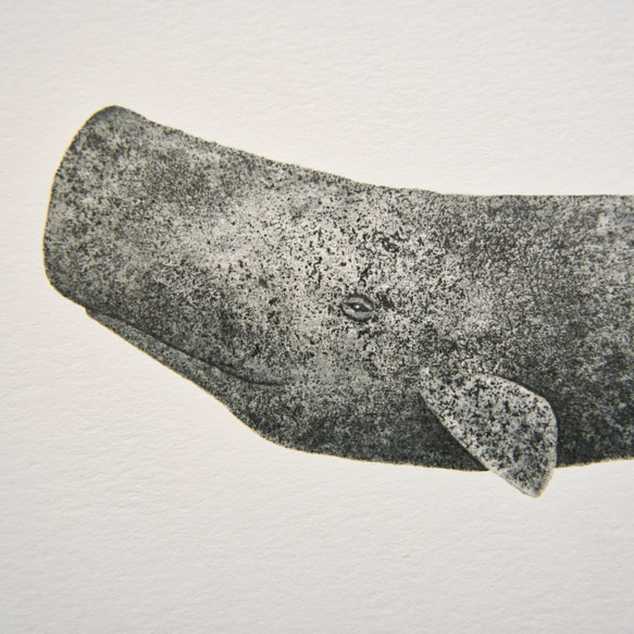 アートポスター｜マッコウクジラ｜Sperm Whale 2枚目の画像