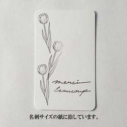 0191★《恩情之花》鬱金香單點郵票 第3張的照片