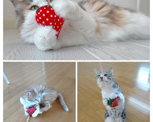 ぐでねこチャンとじゃれねこチャンチャーム　大人×いちご ぐでねこチャンとじゃれねこチャンチャーム 大人×いちご