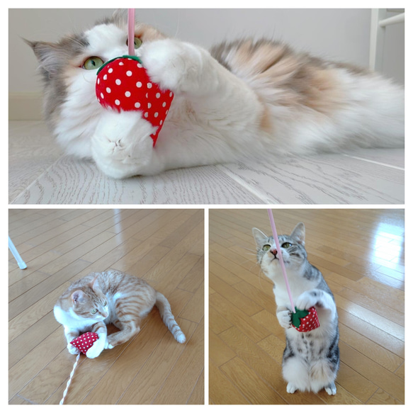 ぐでねこチャンとじゃれねこチャンチャーム いちご 猫だらけ♡猫好きさん