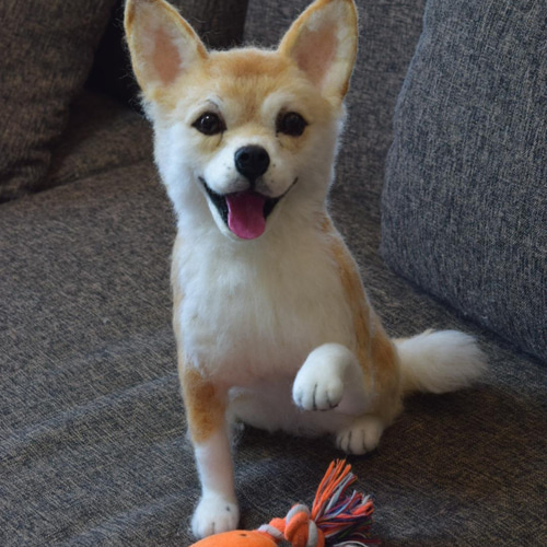 羊毛フェルト 愛犬オーダー ☆てんてん様オーダー☆ 愛犬さんのオーダー》羊毛フェルトオーダー 羊毛フェルト犬