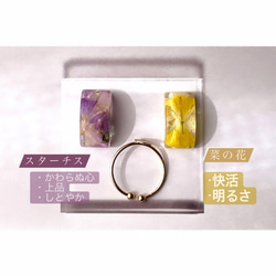 【小春日和】　菜の花のドライフラワー　ぷっくりリング（指輪） 2枚目の画像
