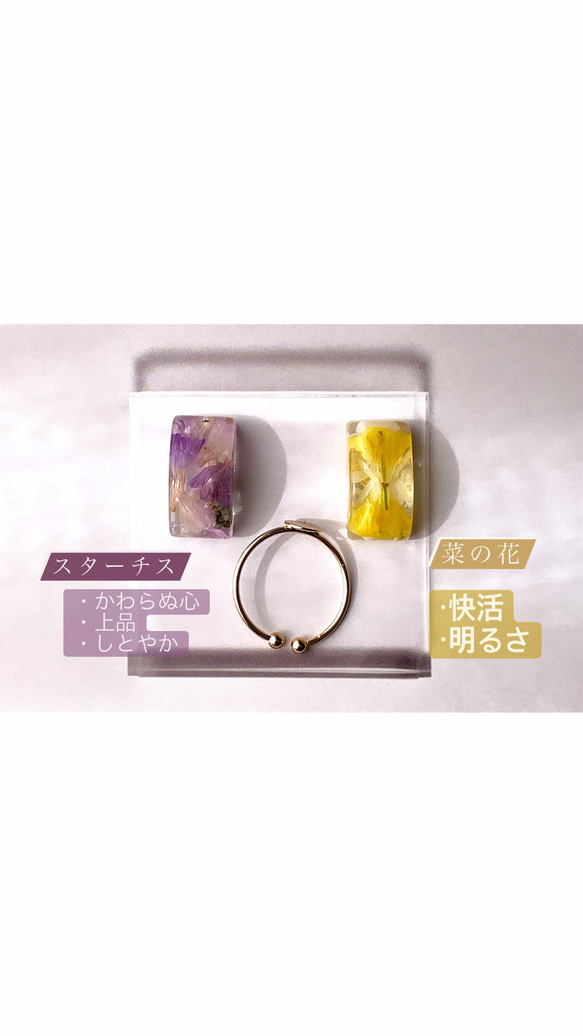 【小春日和】　菜の花のドライフラワー　ぷっくりリング（指輪） 2枚目の画像