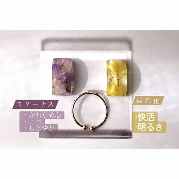 【変わらぬ心】春色スターチス（紫）のドライフラワー　長方形のリング 1枚目の画像