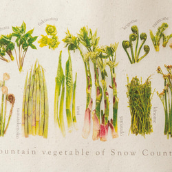 ［着る山菜］山菜トートバッグ（ナチュラル）M 2枚目の画像