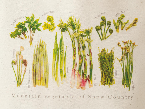 ［着る山菜］山菜トートバッグ（ナチュラル）M 2枚目の画像