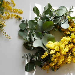 グリーンとミモザのハーフリース【限定数予約販売】 リース 無店舗花屋