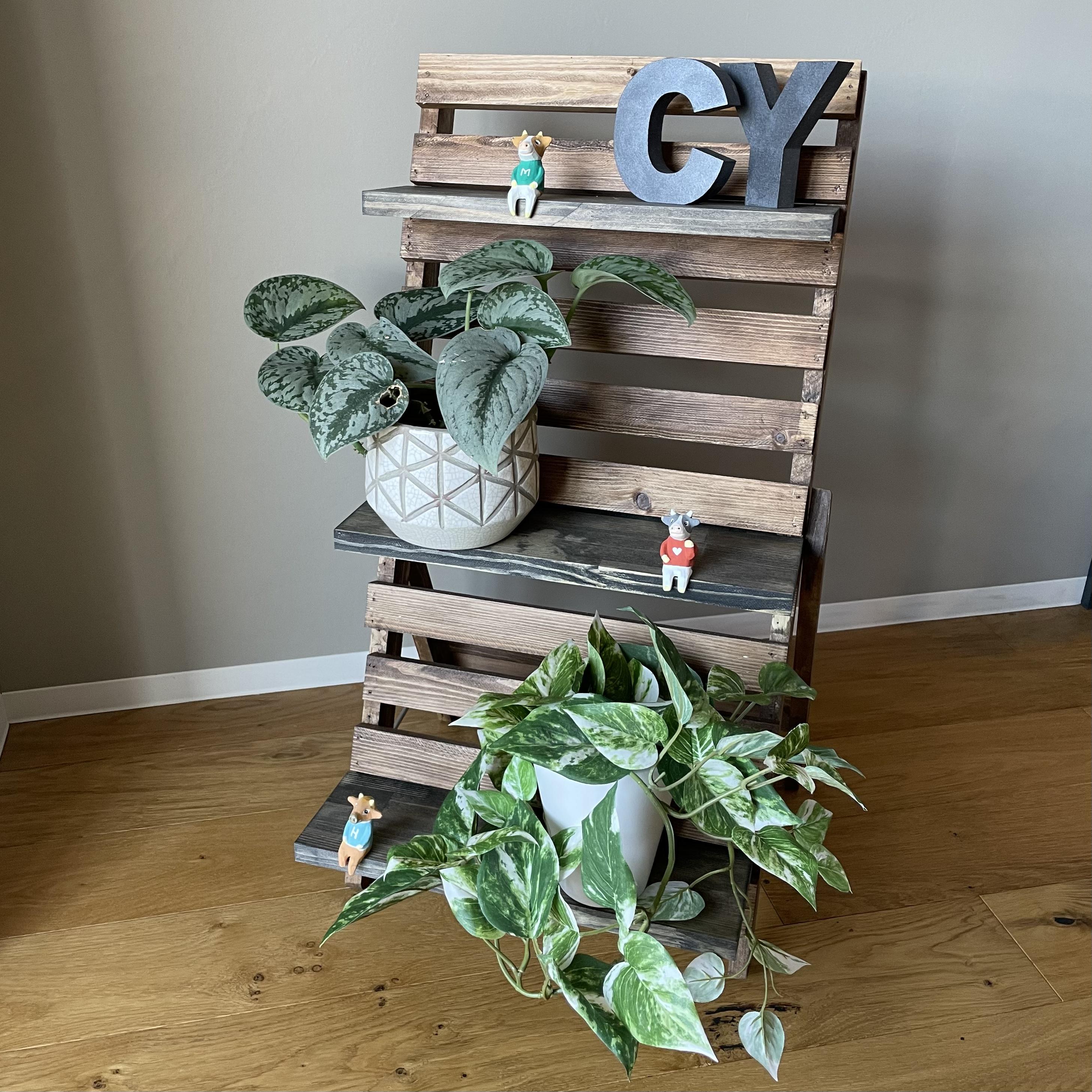 ホワイトウッドのプランタースタンド / 黒板看板