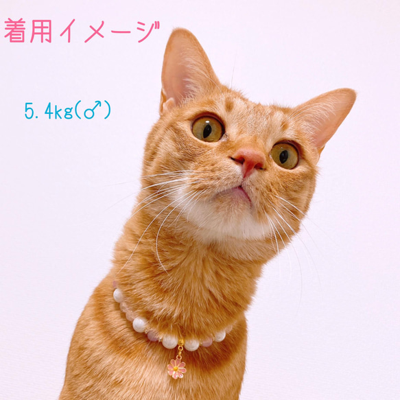 猫の首輪春パステルカラー✨ネックレス首輪♡お花チャーム 6枚目の画像