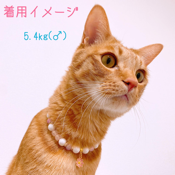 猫の首輪春パステルカラー✨ネックレス首輪♡お花チャーム 5枚目の画像