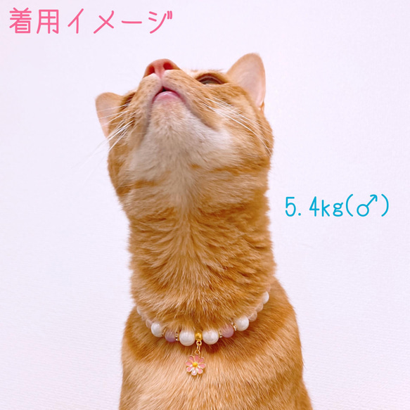 猫の首輪春パステルカラー✨ネックレス首輪♡お花チャーム 7枚目の画像