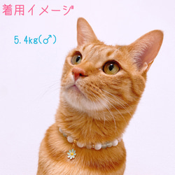 猫の首輪春パステルカラー✨ネックレス首輪♡お花チャーム 6枚目の画像