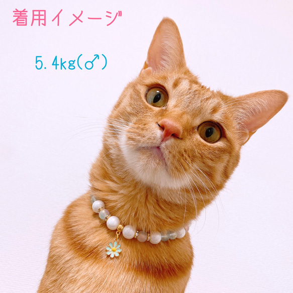 猫の首輪春パステルカラー✨ネックレス首輪♡お花チャーム 5枚目の画像