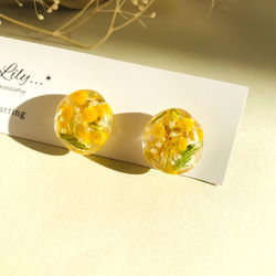 レジンイヤリング　3点セット　ミモザ　ゴールド　ホワイト　夏 ミモザハンドメイド2022 」春色 ミモザピアス ミモザイヤリング レジン